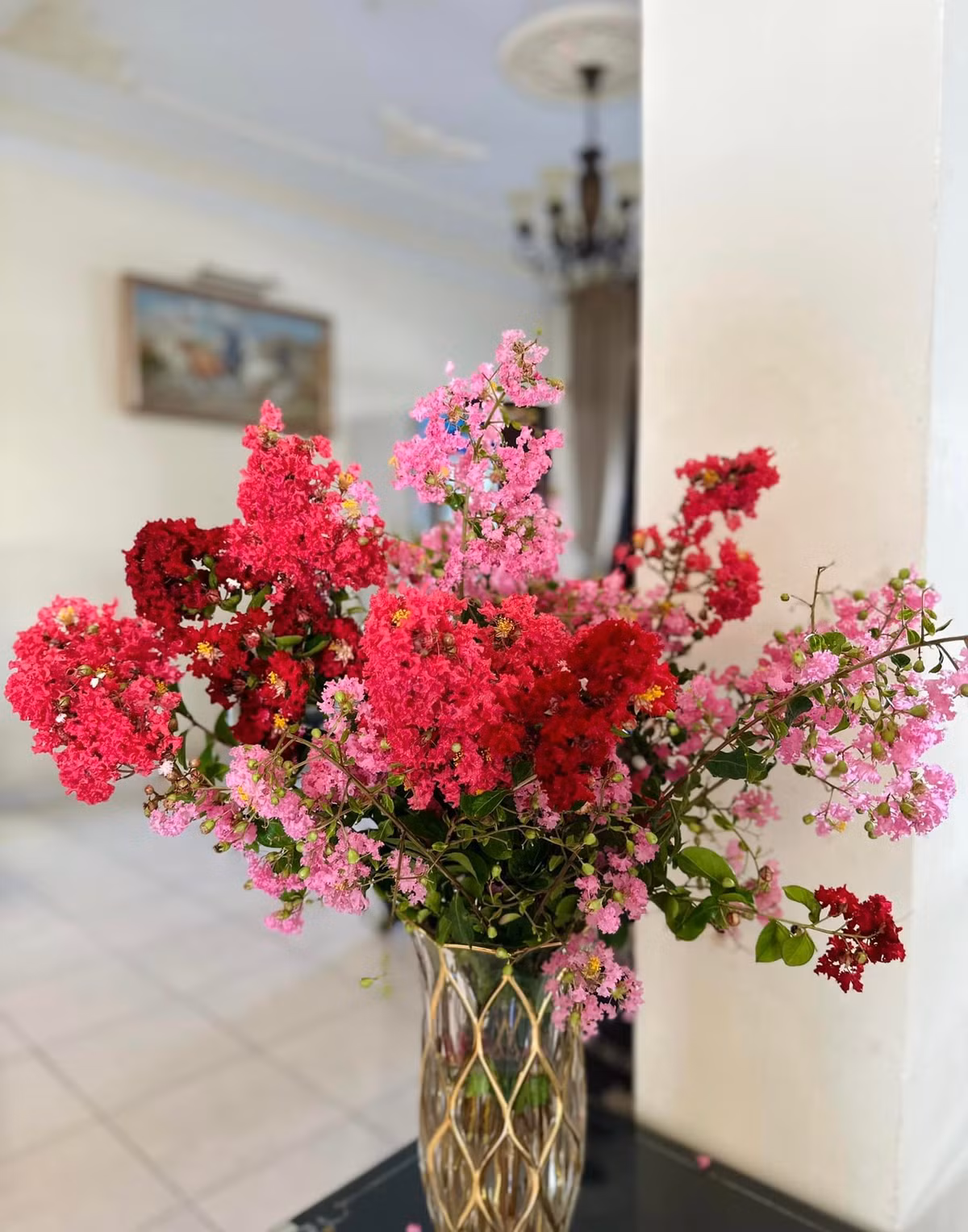 Hoa tường vi nở rộ khắp vườn, nữ ca sĩ hái vài cành vào cắm khắp nơi trong nhà.