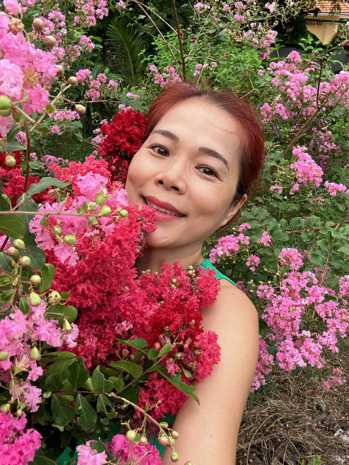 Mới đây, Mỹ Lệ khoe kheo hoa tường vi bung nở quanh nhà khiến ai nấy đều trầm trồ.