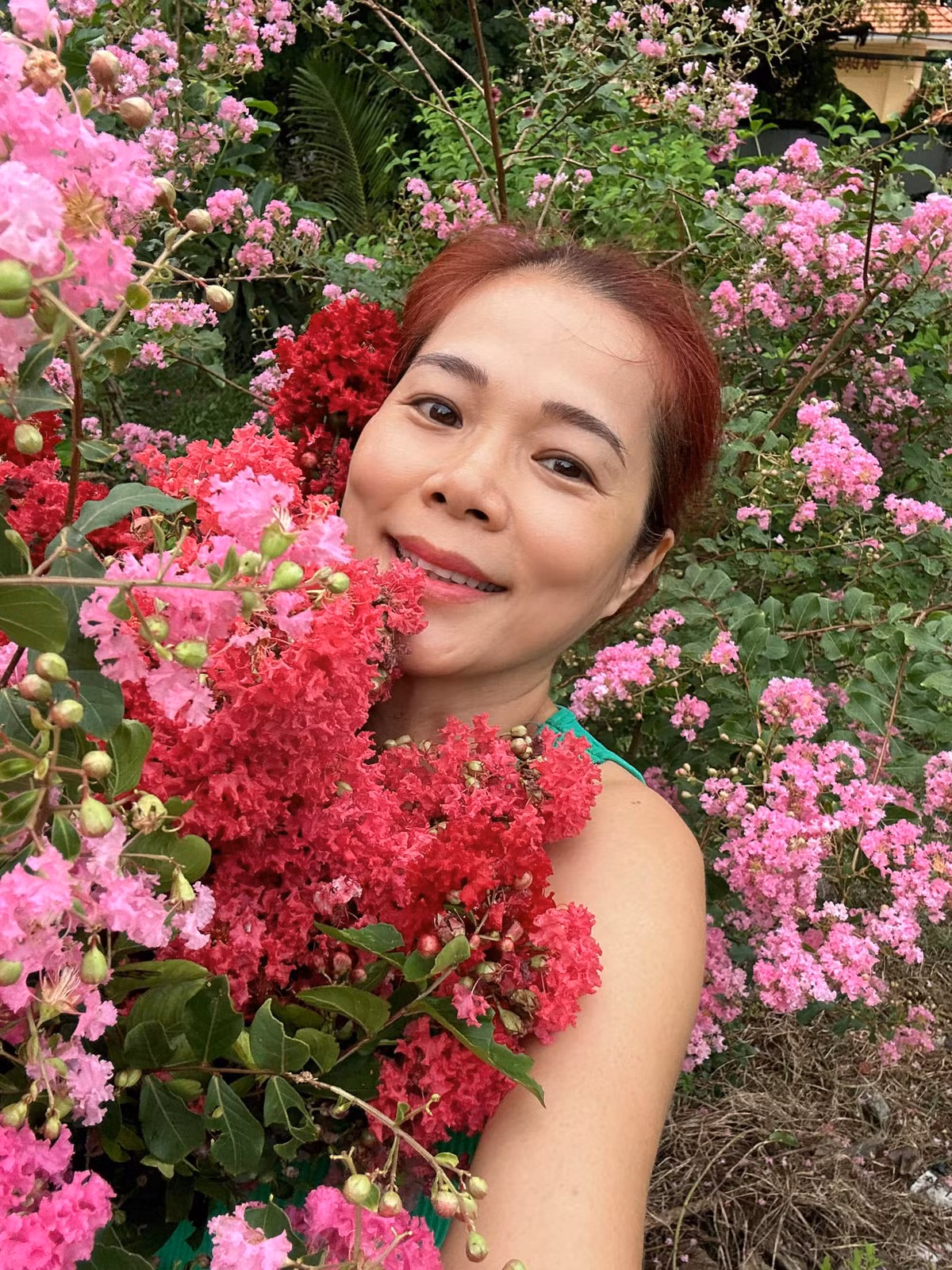 Mới đây, Mỹ Lệ khoe kheo hoa tường vi bung nở quanh nhà khiến ai nấy đều trầm trồ.