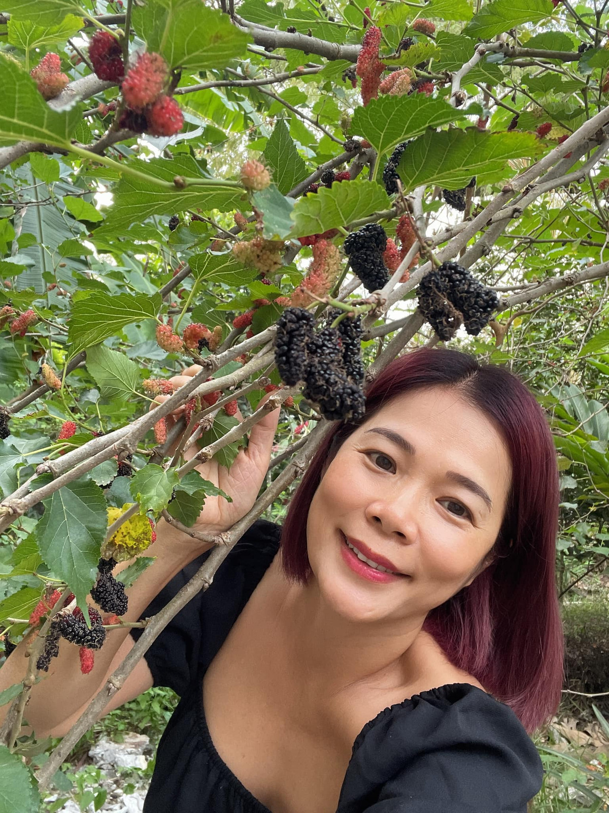 Ngoài hoa, Mỹ Lệ còn trồng rất nhiều cây ăn trái.