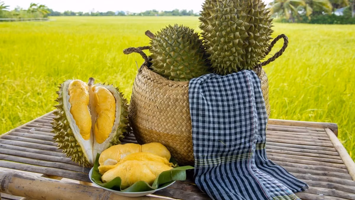 Tại các siêu thị Anh, sầu riêng Việt được bán với giá 14 Bảng/kg (khoảng 411.000 đồng/kg). Ảnh: Điện máy xanh