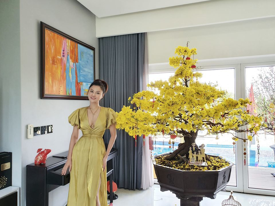 Nữ siêu mẫu cho biết, sau sự cố này, gia đình cô sẽ chuyển đến nơi ở mới. Hiện tại, gia đình Vũ Thu Phương sống trong căn biệt thự có tổng diện tích 1300m2 tại quận 2, TP HCM. Ảnh: FBNV