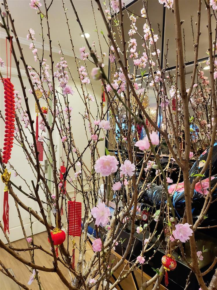 Hoa đào bung nở khoe sắc xuân.