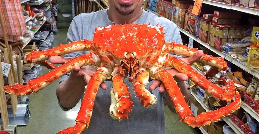 Sau thời điểm này, nguồn cung bắt đầu cạn kiệt. Do đó, giá cua Alaska có xu hướng đạt mức cao nhất trong mùa hè, thường tăng 60%. Ảnh: Getty