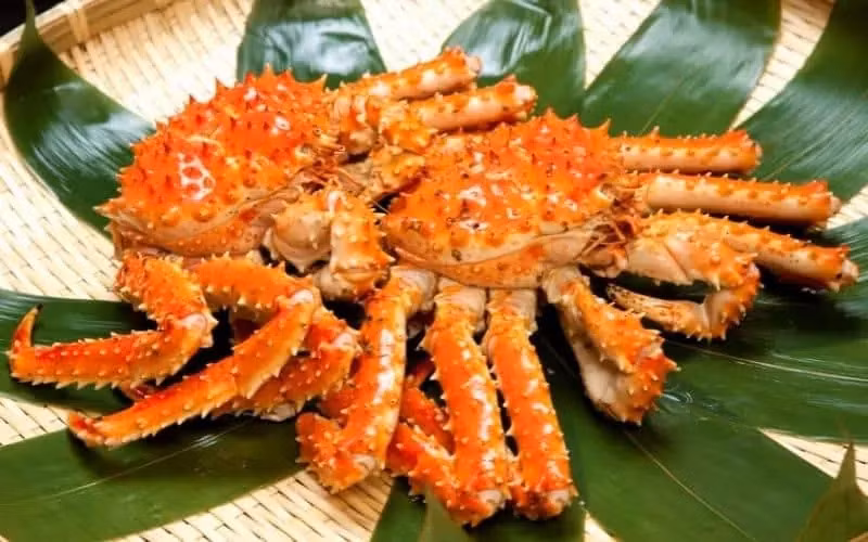 Các quốc gia có sản lượng cua Alaska cao như Mỹ, Nauy và Canada có quy định chặt chẽ trong việc khai thác khiến nhu cầu về loại cua này luôn vượt xa nguồn cung, dẫn đến giá cao hơn. Ảnh: Getty