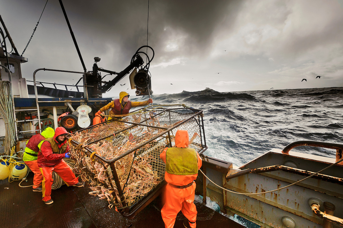 Cua hoàng đế Alaska thường sống ở độ sâu khoảng 180 mét dưới bề mặt đại dương. Tiếp cận khu vực này đòi hỏi thiết bị đánh cá tiên tiến. Nếu thiết bị này bị hỏng, thuyền viên có thể không bắt được bất kỳ con cua nào trong mùa. Điều này làm tăng giá cua hoàng đế. Ảnh: National Fisherman