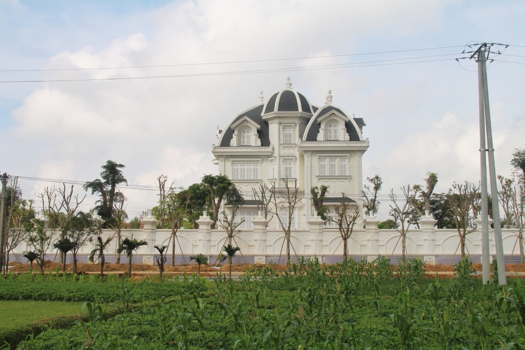 Con đường dẫn vào nhà cũng được trồng rất nhiều cây cổ thụ lớn. Ảnh: Doanh nghiệp &amp; Kinh doanh