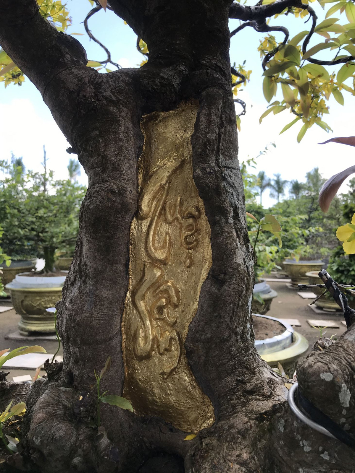 Hai chữ "Tuệ - Sâm" là tên của cha, mẹ ông Vũ Đức Đông. Ảnh: Kyluc