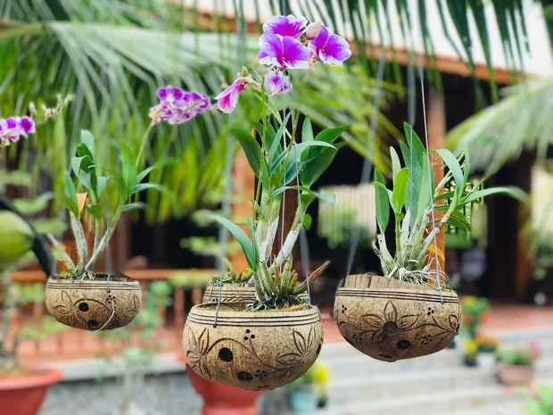 Thậm chí, hồ cá Koi, chậu hoa lan cũng được trang trí bằng dừa. Ảnh: chụp màn hình ĐLBD