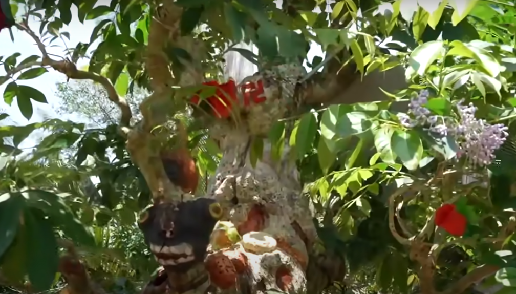 Sau đó ở từng khúc, chú Sơn tạo kiểu để cây trông thật có hồn cốt.