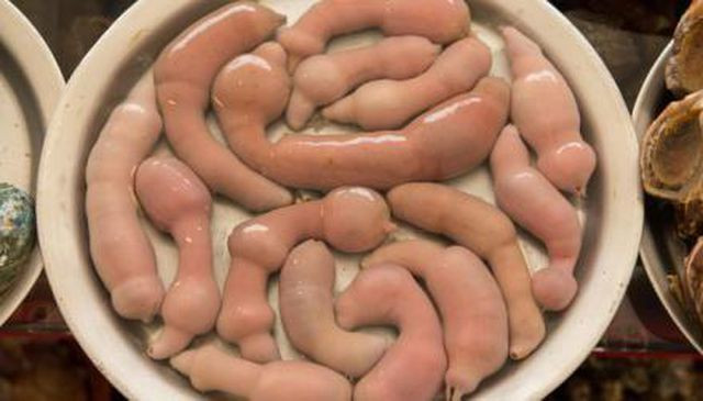 Gaebul vốn là loài giun thìa biển, được gọi rộng rãi với tên cá dương vật. Đây là đặc sản được người Hàn Quốc, Trung Quốc rất ưa chuộng. Ảnh: Vietnamnet