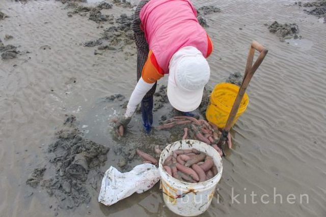 Ở Hàn Quốc, cá dương vật có quanh năm, nhưng mùa thu hoạch thường là tháng 3 đến tháng 10. Ảnh: Review Show