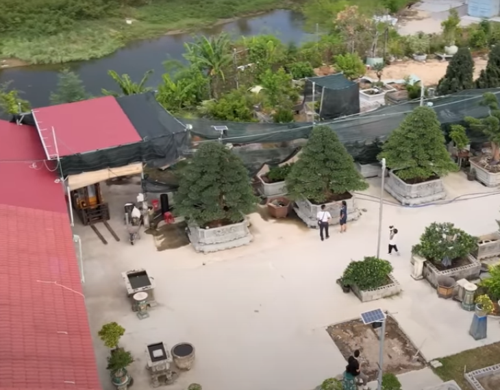 Đáng chú ý nhất trong khu vườn là bộ 3 cây tùng được gia chủ rao giá tới 40 tỷ đồng.