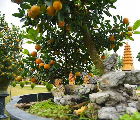 Nhiều kiểu dáng, mẫu mã đa dạng phục vụ nhu cầu của khách hàng. Ảnh: Baotintuc