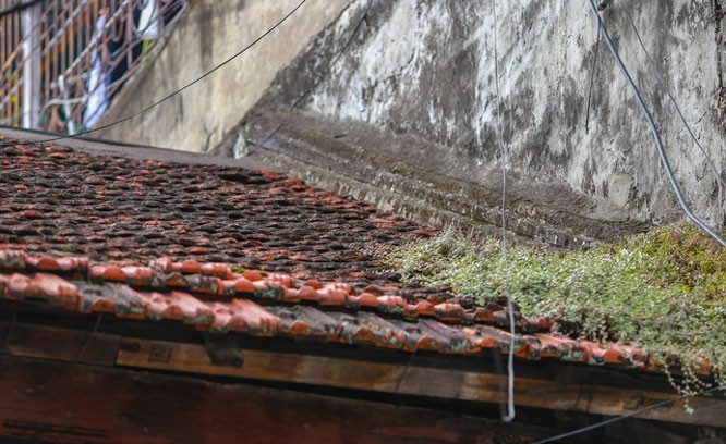 Không chỉ người Việt Nam, nhiều du khách nước ngoài cũng rất thích kiến trúc cổ của ngôi nhà. Ảnh: Dân trí