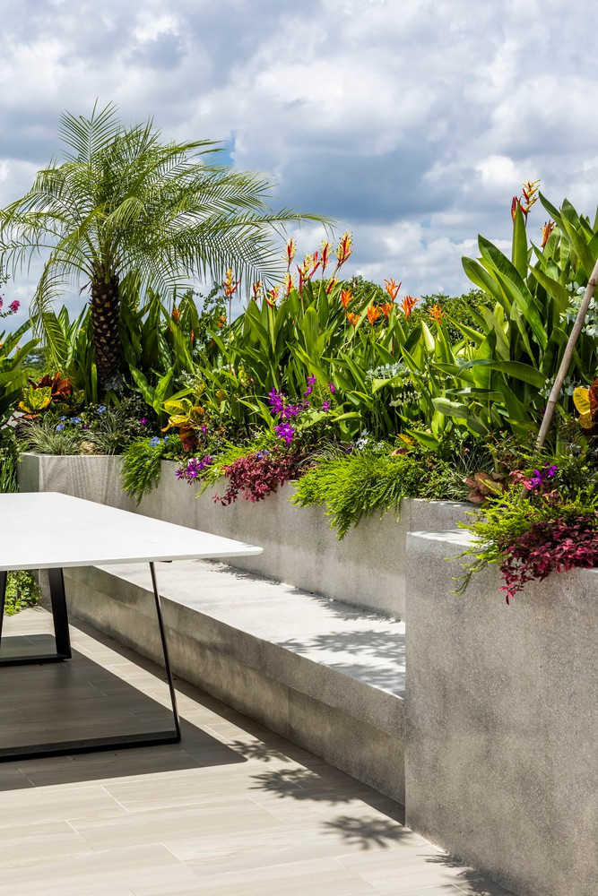 Sân thượng trồng nhiều cây cảnh và hoa tươi thành góc thư giãn lý tưởng. Nguồn ảnh: Hiroyuki Oki