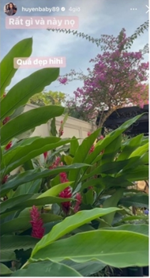 Sau một thời gian, khi các loại hoa tàn sẽ được thay lứa hoa mới.