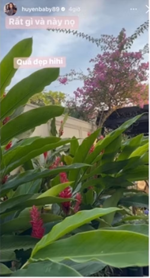 Sau một thời gian, khi các loại hoa tàn sẽ được thay lứa hoa mới.