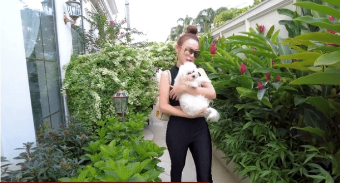 Khu vườn xanh mướt tạo không gian thoáng mát, thích hợp cho việc đi dạo.