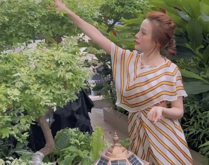 Theo chia sẻ của Huyền Baby, tất cả cây cối hay hoa trong vườn đều do ông xã lo lắng.