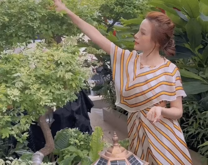 Theo chia sẻ của Huyền Baby, tất cả cây cối hay hoa trong vườn đều do ông xã lo lắng.