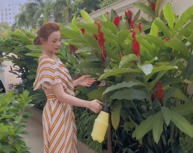 Căn biệt thự là món quà Valentine 2020 mà Quang Huy dành cho vợ. Không chỉ tặng nhà, ông xã Huyền Baby còn chăm chút khu vườn xanh mướt để vợ tha hồ "sống ảo".