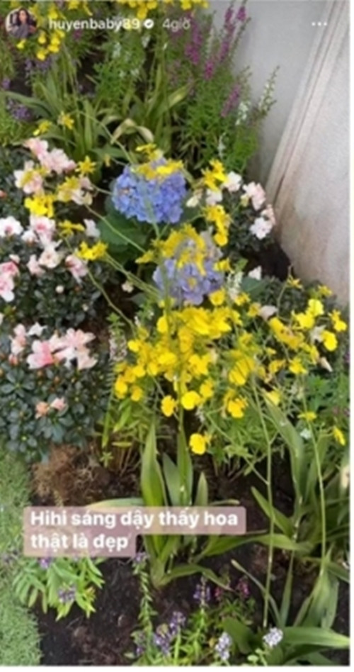 Hàng ngày, khu vườn có hệ thống tưới nước tự động sẽ hoạt động vào buổi sáng và chiều.