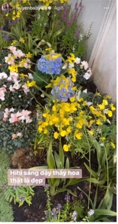 Hàng ngày, khu vườn có hệ thống tưới nước tự động sẽ hoạt động vào buổi sáng và chiều.