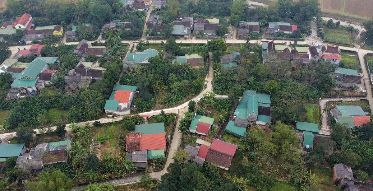 Thôn Vĩnh Phúc, xã Quang Vĩnh, huyện Đức Thọ được biết đến là "thủ phủ" trồng lá dong lớn nhất tỉnh Hà Tĩnh, với diện tích hơn 10ha. Toàn thôn 150 hộ thì có trên 80 hộ trồng loại cây này. Hộ ít nhất có khoảng 300m2 trồng lá dong, hộ nhiều lên đến hàng nghìn m2.