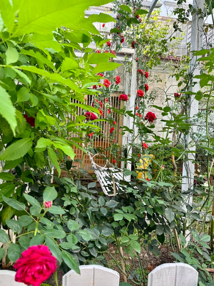 Nhìn qua, nhiều khán giả còn ngỡ như ở trong một khu resort nào đó.