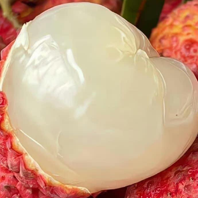 Vai trung u hong gan 200.000 dong/kg hut khach-Hinh-4