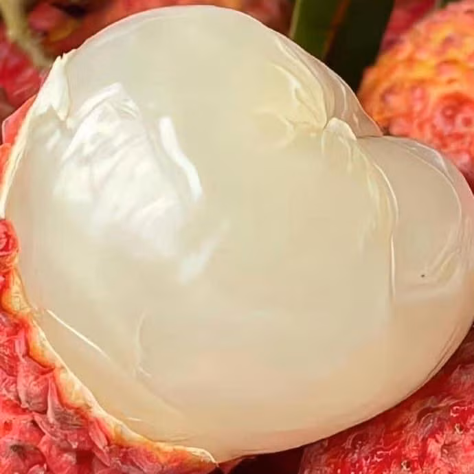 Vai trung u hong gan 200.000 dong/kg hut khach-Hinh-4