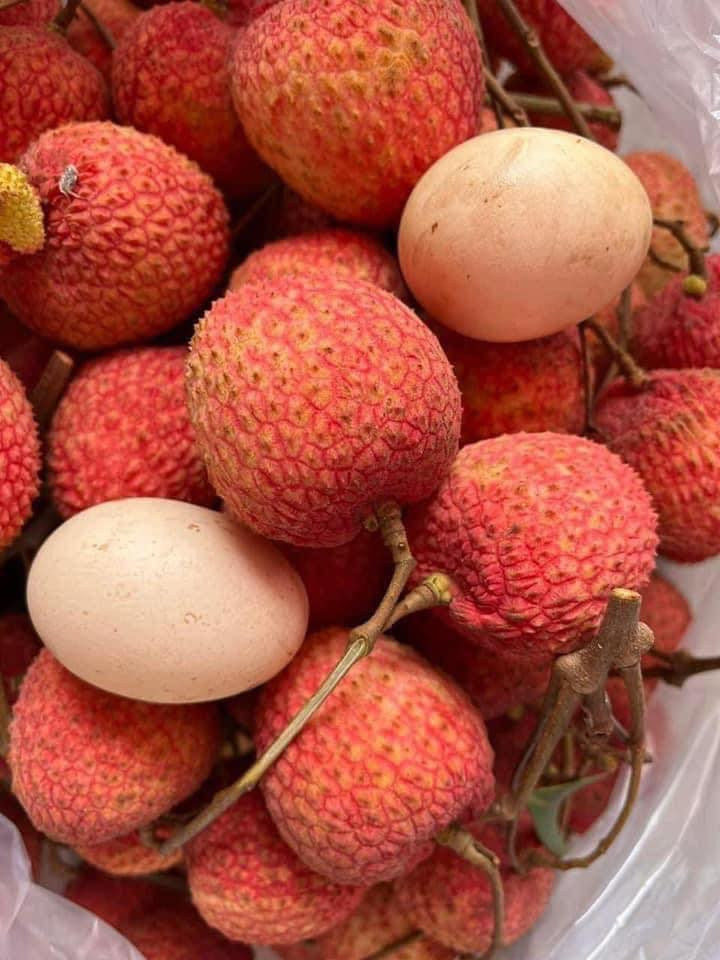 Vai trung u hong gan 200.000 dong/kg hut khach-Hinh-2