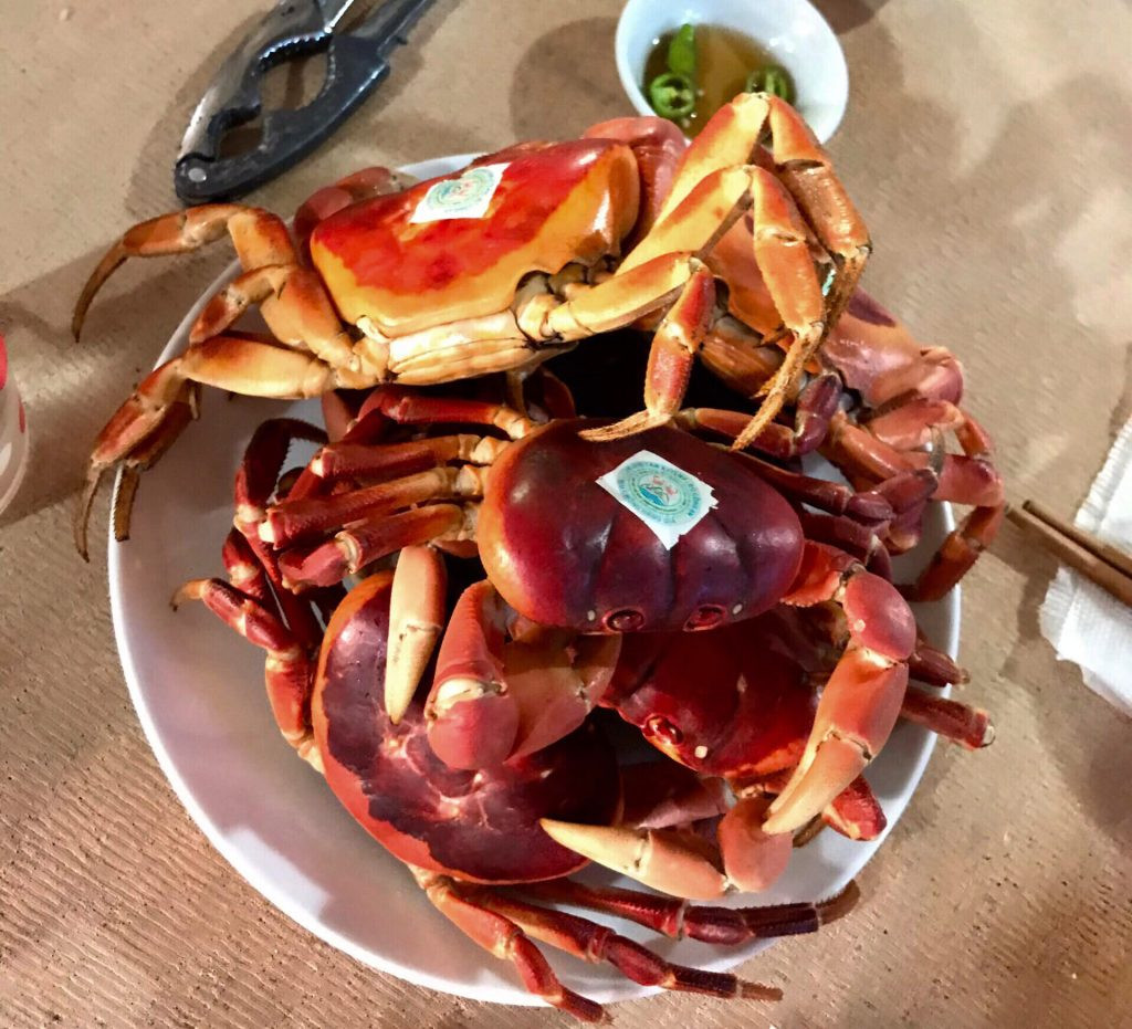 Do đó, tại các nhà hàng, cua đá Cù Lao Chàm có giá lên đến 2 triệu đồng/kg. Ảnh: Culaochamtour