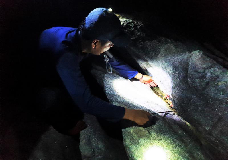 Để săn cua đá, người dân phải đi rừng vào ban đêm, do đêm là thời điểm cua đá ra khỏi hang để kiếm ăn. Ảnh: Cù Lao Chàm Tour