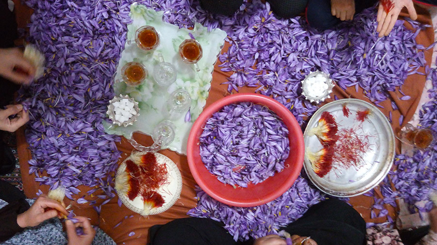 Đặc biệt, người ta cần khoảng 75.000 bông hoa nghệ tây để tạo ra một pound nghệ tây. Ảnh: Tasteiran