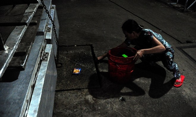 Sau khi bắt xong, họ bán gián cho những “cần thủ”, làm mồi câu cá. Có những đêm người làm nghề bắt giám đêm kiếm được gần 2.000 còn, mang về thu nhập gần 1 triệu đồng. Ảnh: Zing