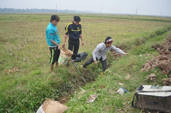 Tương tự, bắt chuột đồng cũng là một nghề lạ chỉ có ở Việt Nam. Trong đó, nghề săn bắt và chế biến thịt chuột đồng ở làng Canh Nậu, Thạch Thất, Hà Nội nổi tiếng ở đất Bắc. Ảnh: Một thế giới