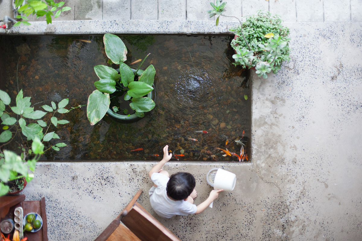 Hồ cá nhỏ vừa tạo điểm nhấn về thẩm mỹ vừa giúp điều hòa không khí trong nhà. Nguồn ảnh: k59 atelier