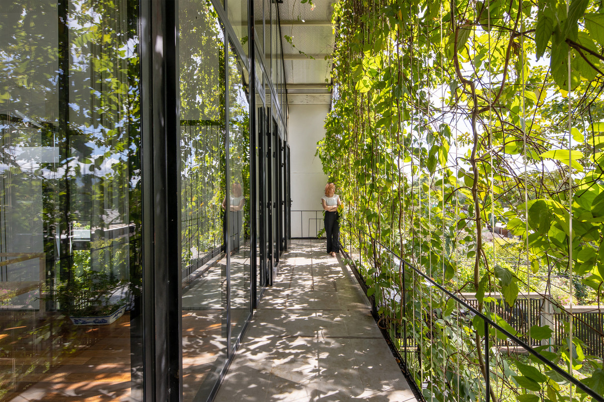 Đây là một cách hữu ích để giảm thiểu bức xạ và lọc ánh sáng mặt trời.