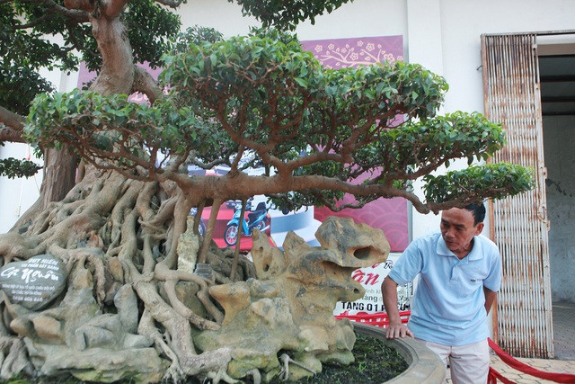 Đáng chú ý, những hòn đá tạo lên hình thuyền rồng được lấy từ dãy Hoàng Liên Sơn, đỉnh Fansipan “Nóc nhà Đông Dương”, cách đây 30 năm. Ảnh: Vietnamnet