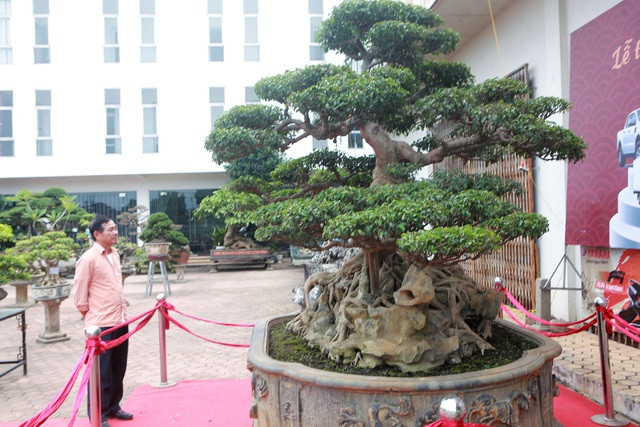 Năm 2010, đã có người trả 6 tỷ đồng nhưng ông Hiến không bán. Ảnh: Dân trí