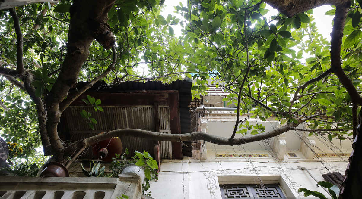 Tuy nhiên, hiện nay số lượng người sinh sống tại đây khá đông và trải qua thời gian dài nên nhiều phần của căn nhà đang xuống cấp nghiêm trọng. Ảnh: Dân trí