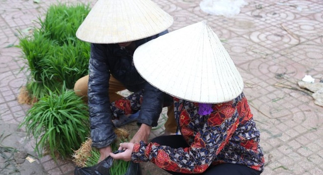 Đáng chú ý, chợ lúa non hoàn toàn tự phát, chỉ họp trong khoảng một tuần đến 10 ngày rồi tự tan. Ảnh: Tiền phong