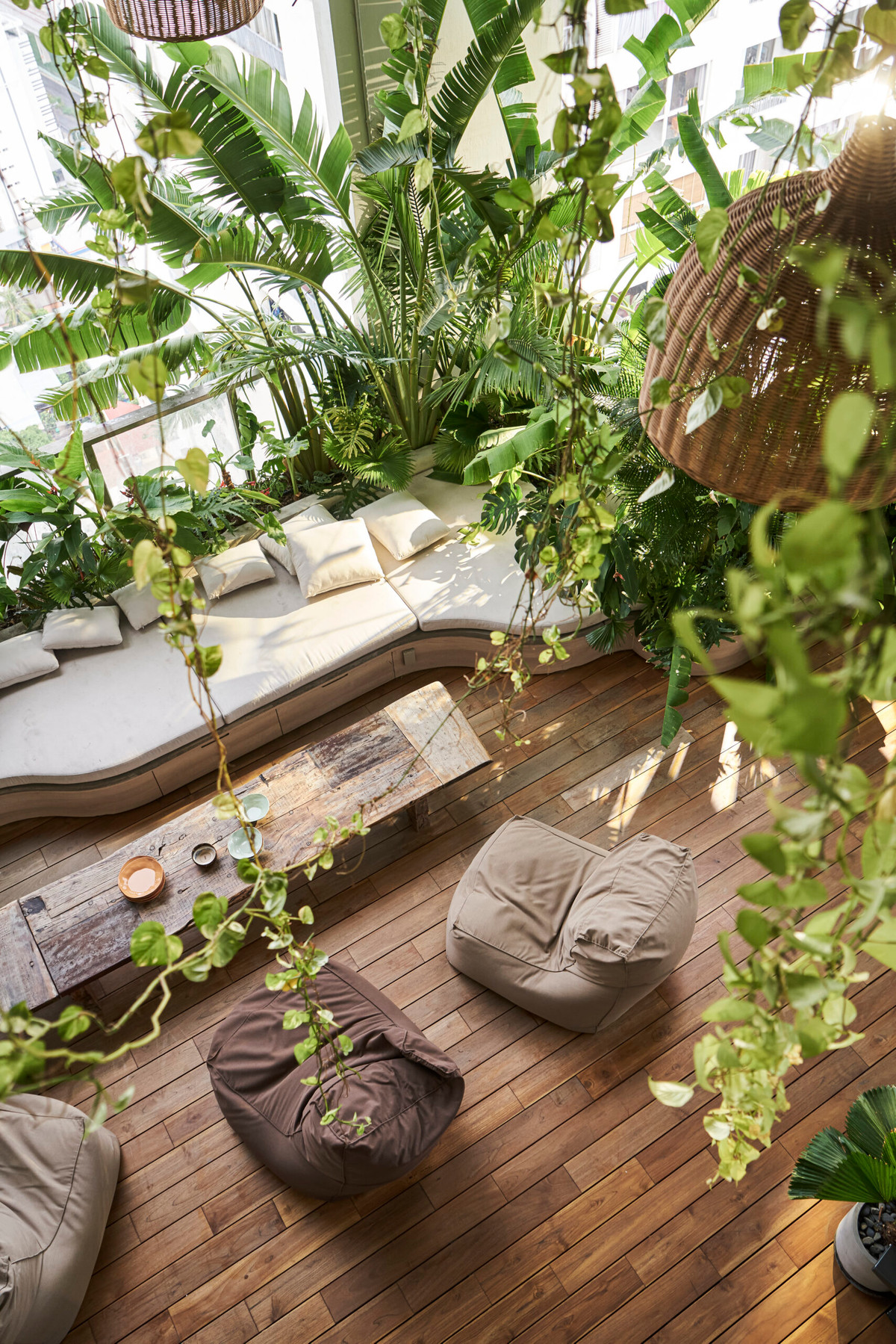 Ban công được phủ bởi trần nhà xanh với những chậu cây treo từ trên cao xuống. Nguồn ảnh: Đỗ Sỹ