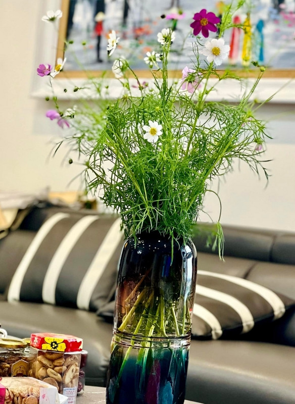 Yêu không gian xanh mát nên góc nào nhà của Thanh Hương cũng có những chậu cây nhỏ xinh, từ trên bàn ăn tới phòng khách. Ảnh: FBNV