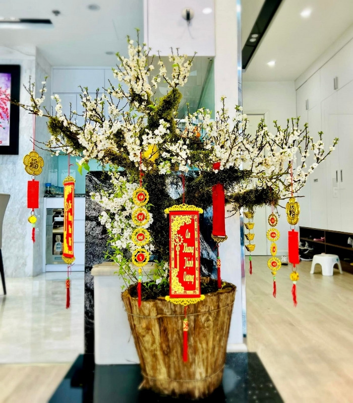 Sàn nhà được ốp gỗ sang trọng. Ảnh: FBNV