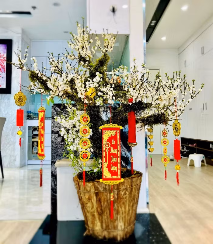 Sàn nhà được ốp gỗ sang trọng. Ảnh: FBNV