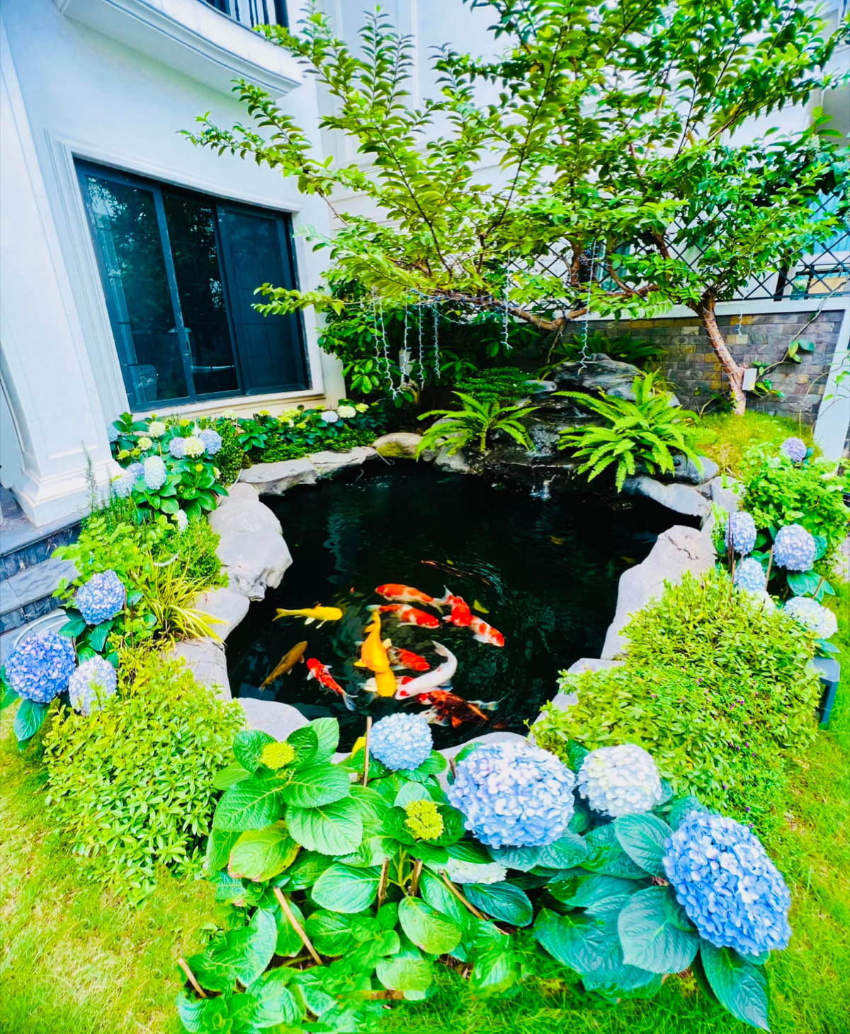 Trong khuôn viên sân vườn rộng rãi là cây xanh và hồ cá Koi đẹp mắt.