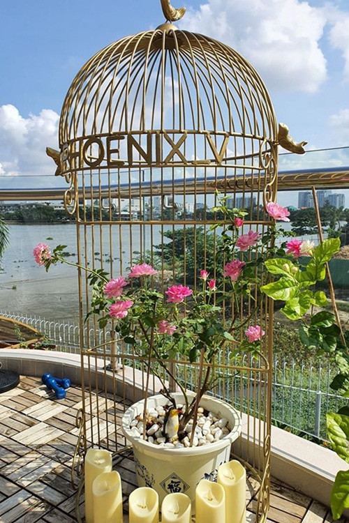 Người đẹp mang cả thiết kế lồng chim trang trí cho vườn nhà.